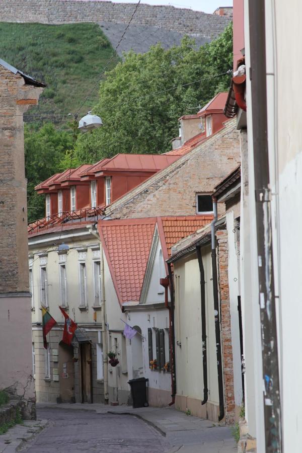 Heart Of Old Town - St. Ann Huoneisto Vilna